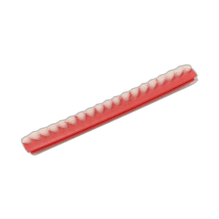 Single Brush Strip White B601-8000 Riccar R25 single brush strip white bristles part number B601-8000
