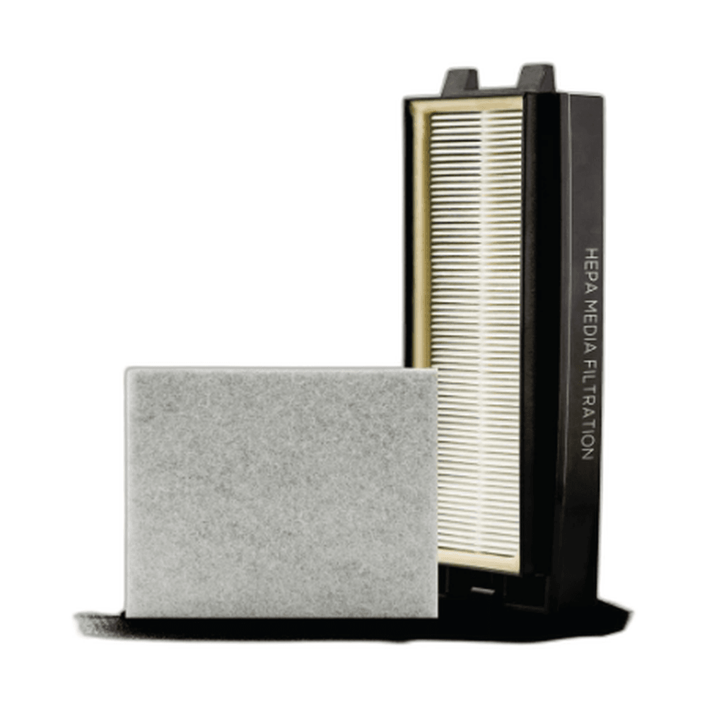 R25D-F Riccar R25D filter set HEPA and foam charcoal part number R25D-F