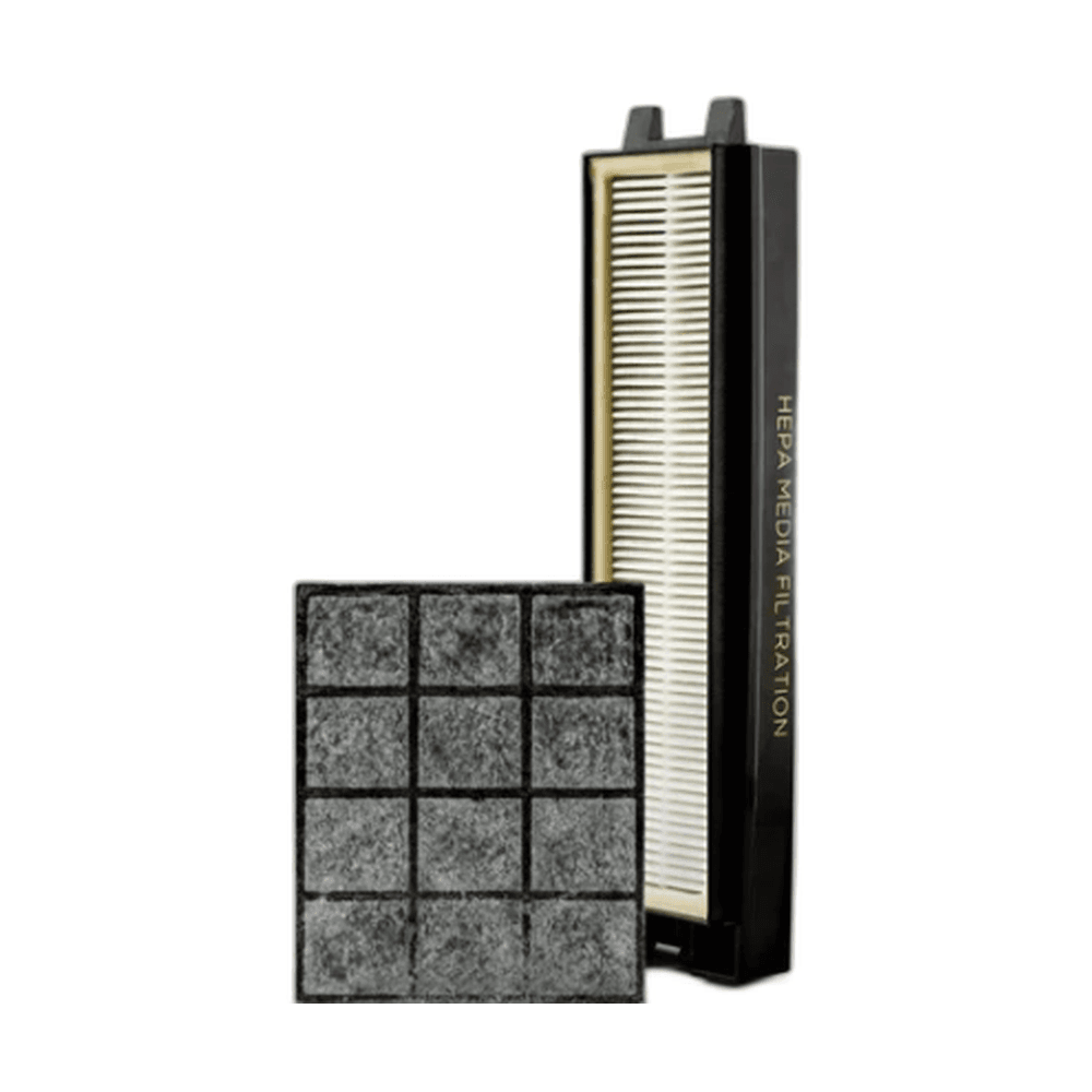 R25P-F Riccar R25P HEPA and granulated charcoal filter set part number R25P-F