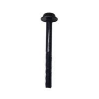 Ryobi RY401017VNM Lawn Mower Taptite Screwsteel CH M6.0x1 P - HOM663155001
