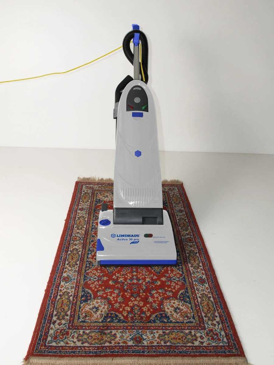 Lindhaus Activa 30 Pro eco FORCE upright vacuum on area rug