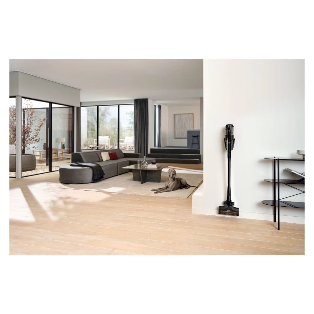 Miele Triflex HX3 Cat and Dog parked in a living room with a dog